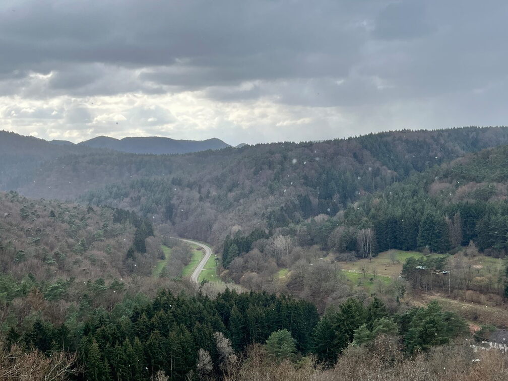 23-02-26 14-54-43 4372